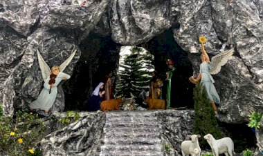Ngắm những nhà thờ Nam Định trong mùa Giáng sinh