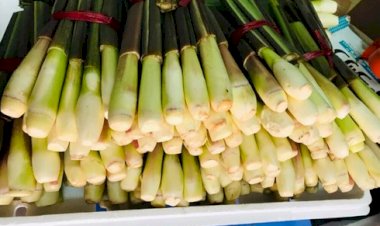Bất ngờ với củ niễng Nam Định vừa ngon còn tác dụng chữa bệnh